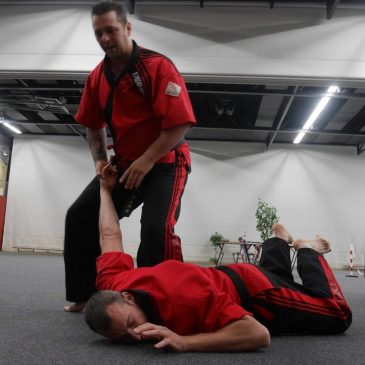 Hapkimooyeh introductory seminar in the Netherlands(네덜랜드 합기무예 세미나)