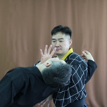 Vice president Hakyoon Lee (세계합기무예연맹 부회장 이학윤)